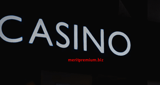 Meritpremium kesintisiz giriş