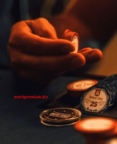 Meritpremium DNS ile Giriş