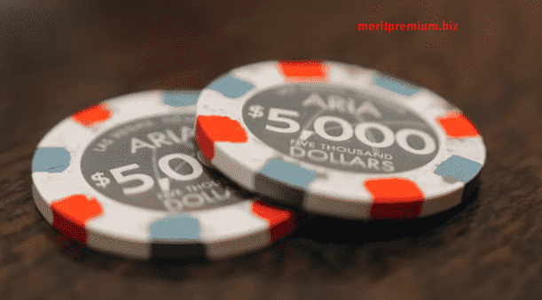 Meritpremium DNS ayarları